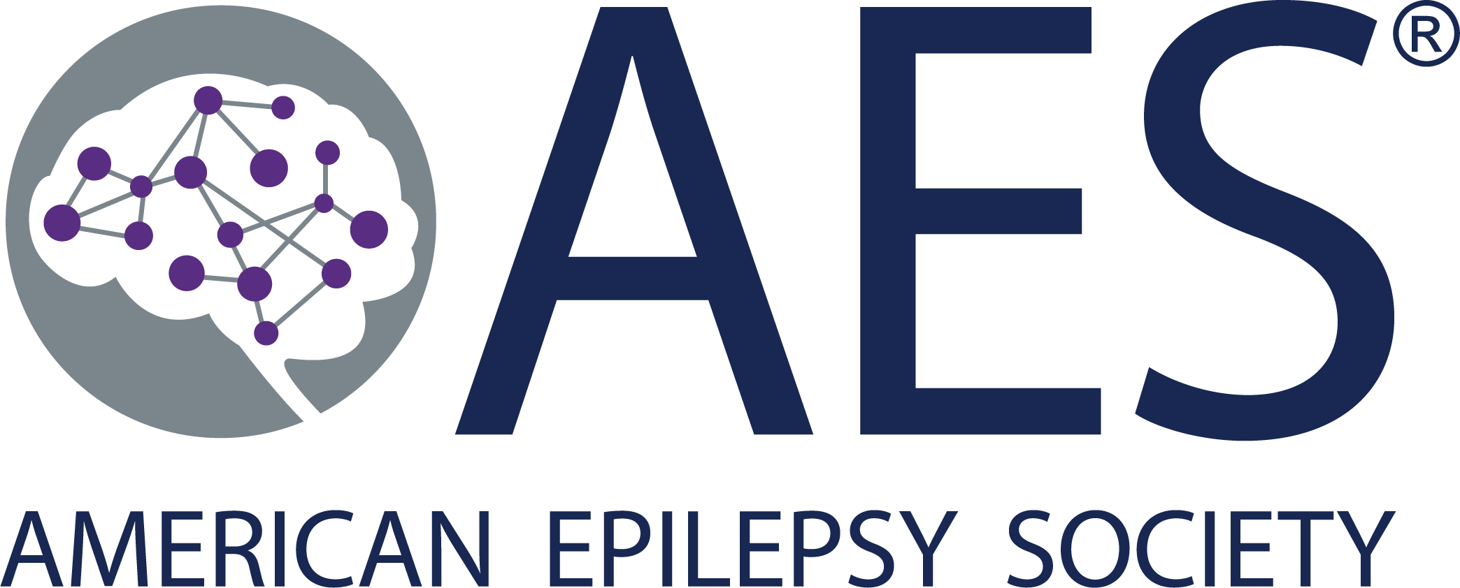 American Epilepsy Society
